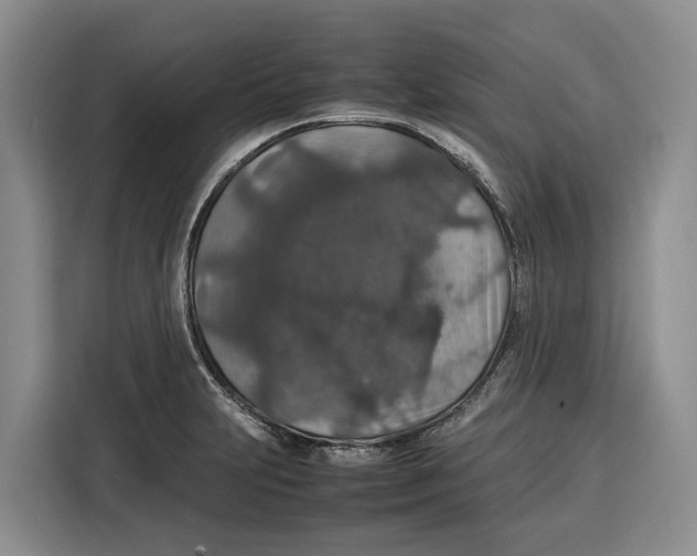 X0000115121231200911241341