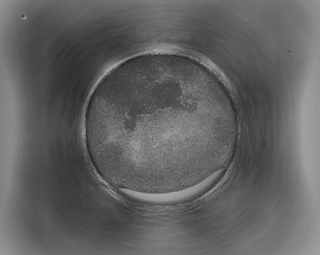 X0000115121232200911241341