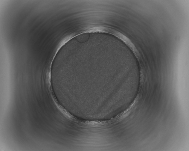 X0000115121234200911241341