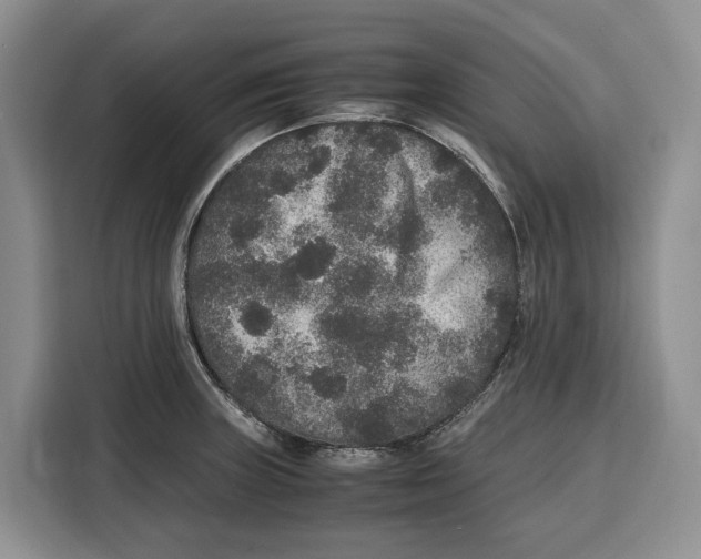 X0000115121235200911241341