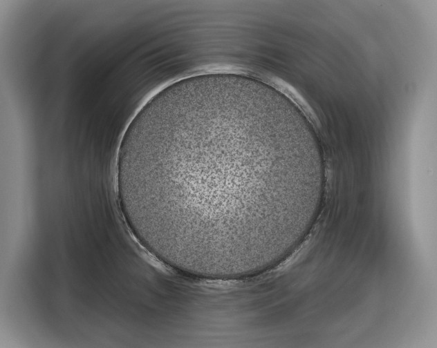 X0000115121236200911241341