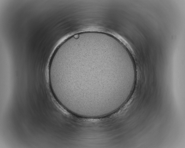 X0000115121238200911241341