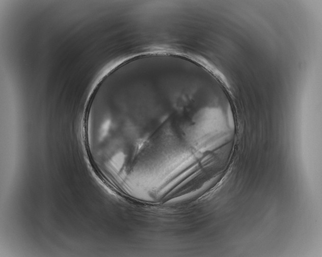 X0000115121239200911241341