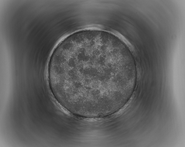 X0000115121240200911241341
