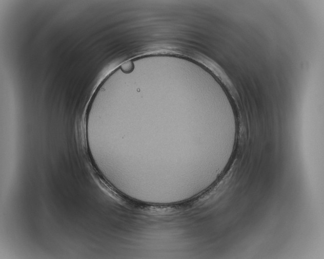 X0000115121242200911241341