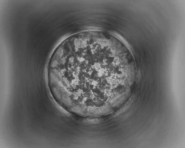 X0000115121243200911241341