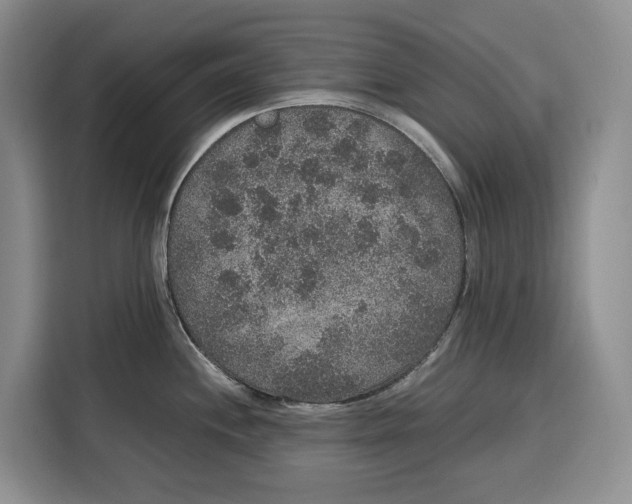 X0000115121244200911241341