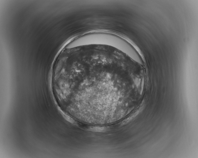 X0000115121245200911241341