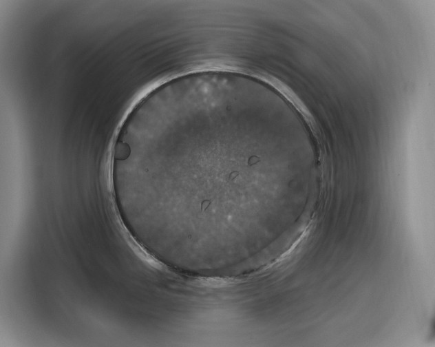 X0000115121246200911241341