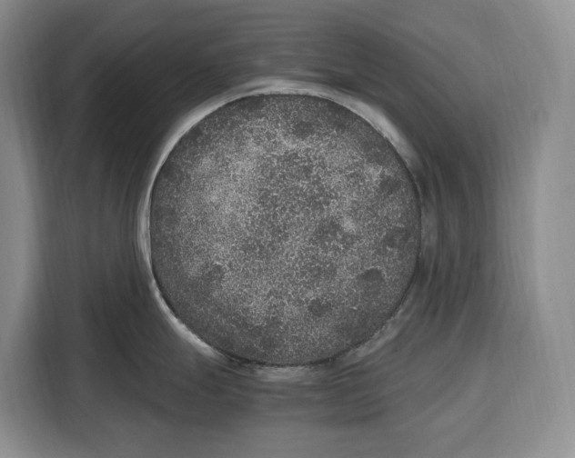 X0000115121247200911241341