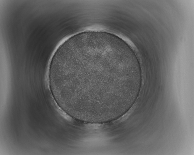 X0000115121248200911241341