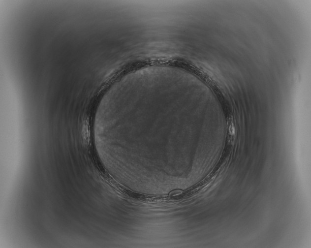 X0000115121252200911241340