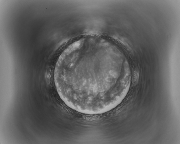 X0000115121254200911241340
