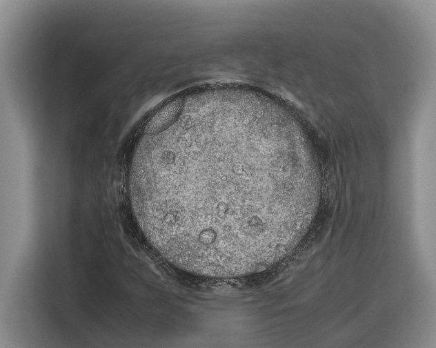 X0000115121255200911241340