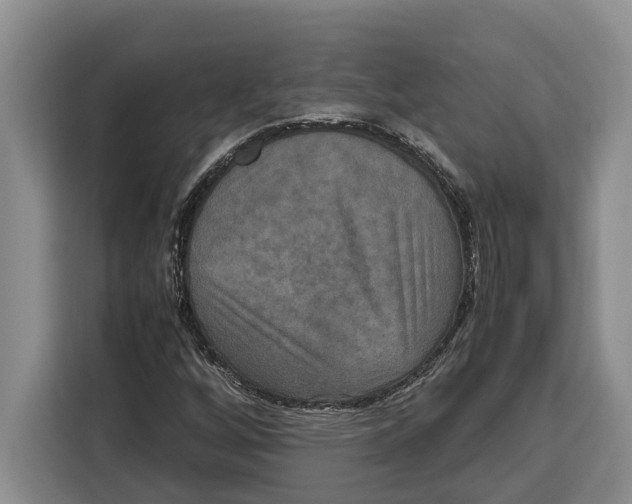 X0000115121256200911241340
