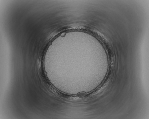 X0000115121257200911241340