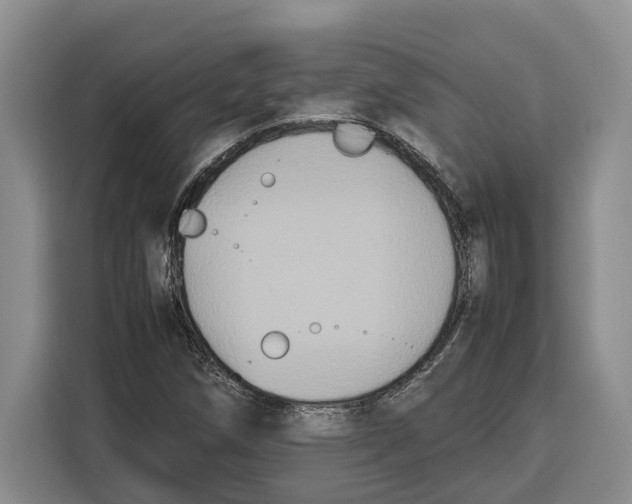 X0000115121258200911241340