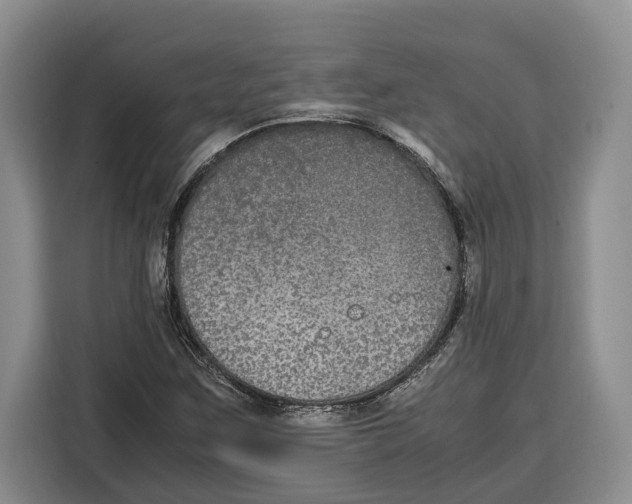 X0000115121259200911241340