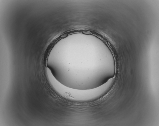 X0000115121261200911241340