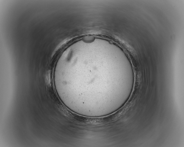 X0000115121262200911241340