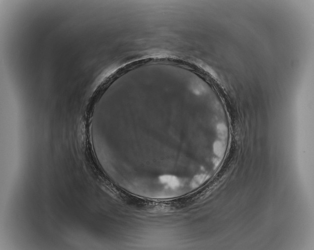 X0000115121263200911241340