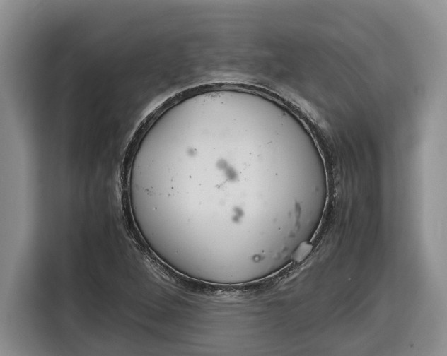 X0000115121264200911241340