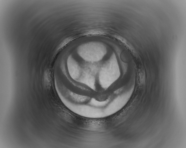 X0000115121266200911241340