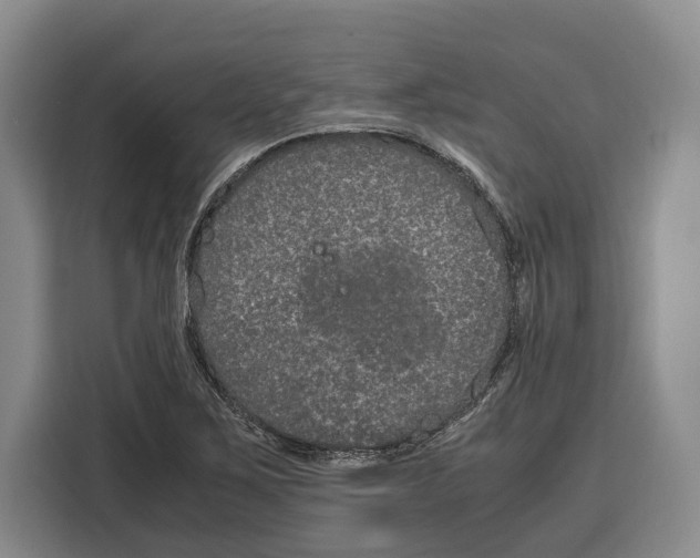 X0000115121267200911241340