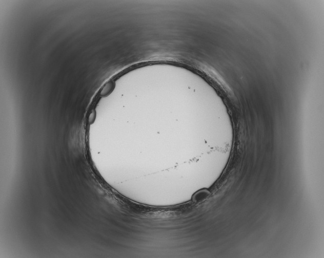 X0000115121268200911241340