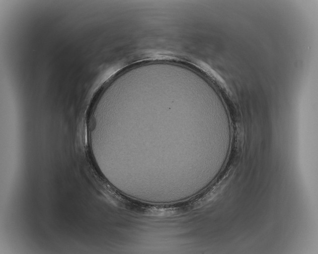X0000115121269200911241340