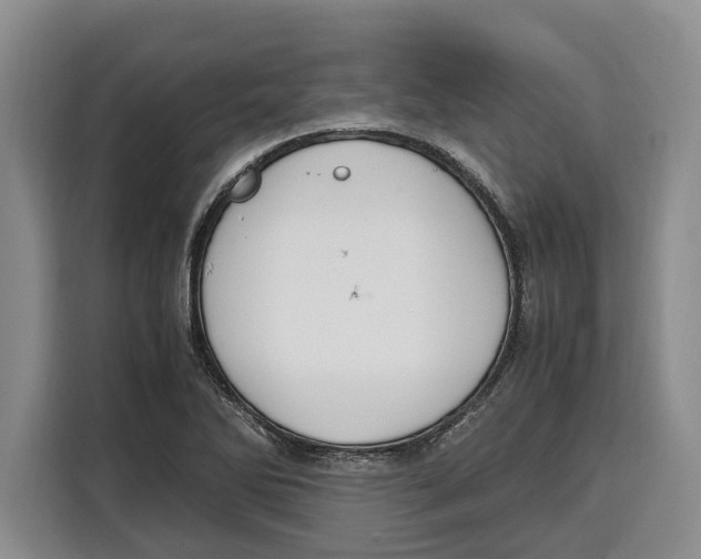 X0000115121270200911241340