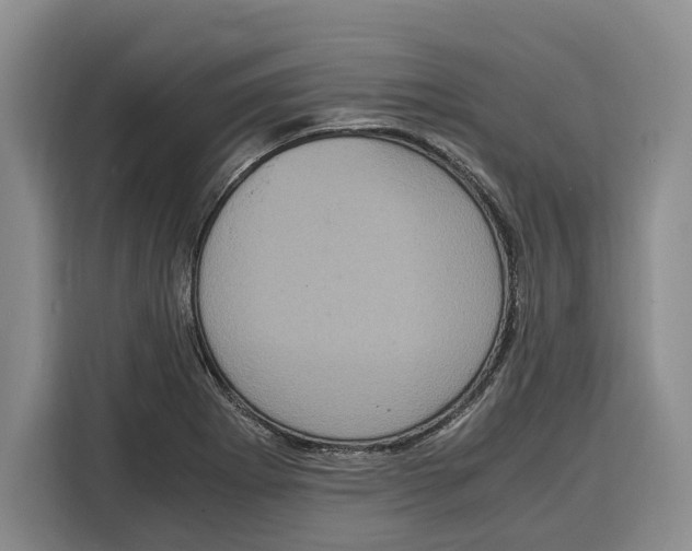 X0000115121273200911241340