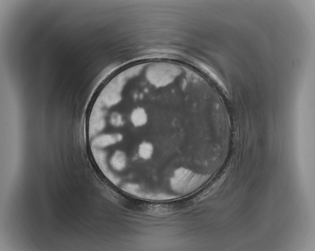 X0000115121275200911241340