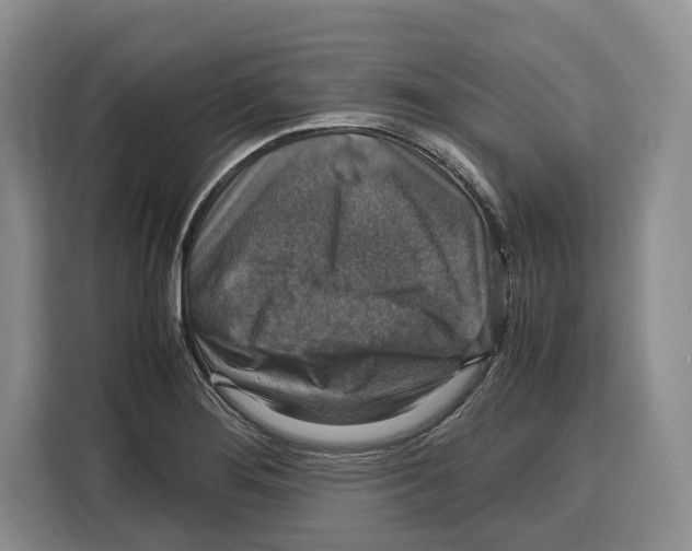 X0000115121276200911241340