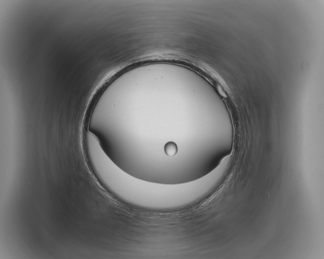 X0000115121277200911241340