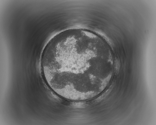 X0000115121278200911241340