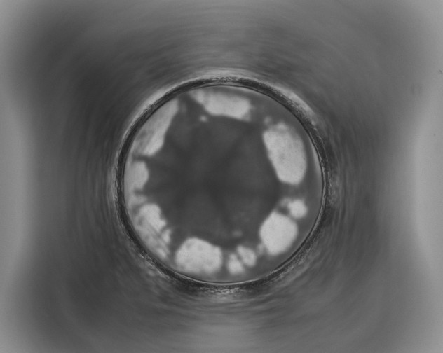 X0000115121279200911241340