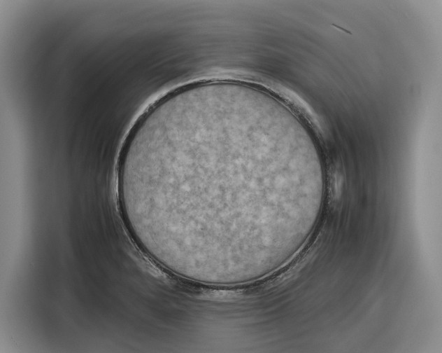 X0000115121280200911241340