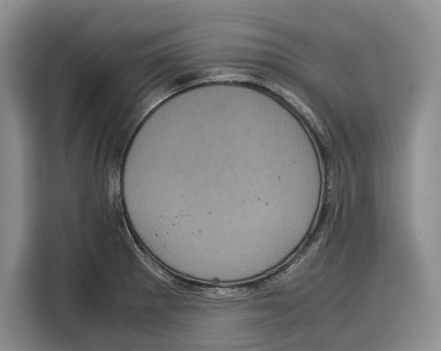 X0000115121281200911241340