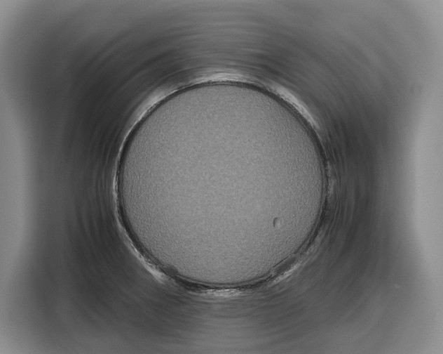 X0000115121282200911241340