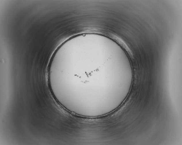 X0000115121284200911241340