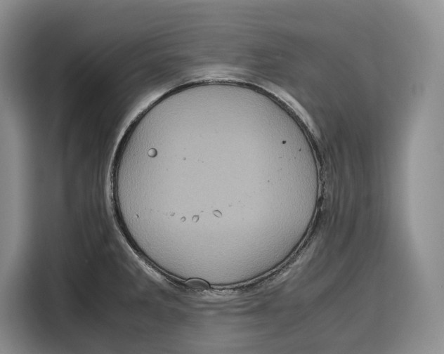 X0000115121285200911241340