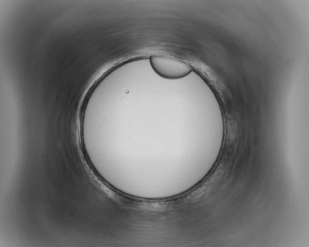 X0000115121286200911241340