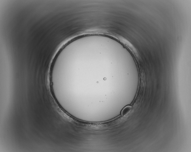 X0000115121288200911241340