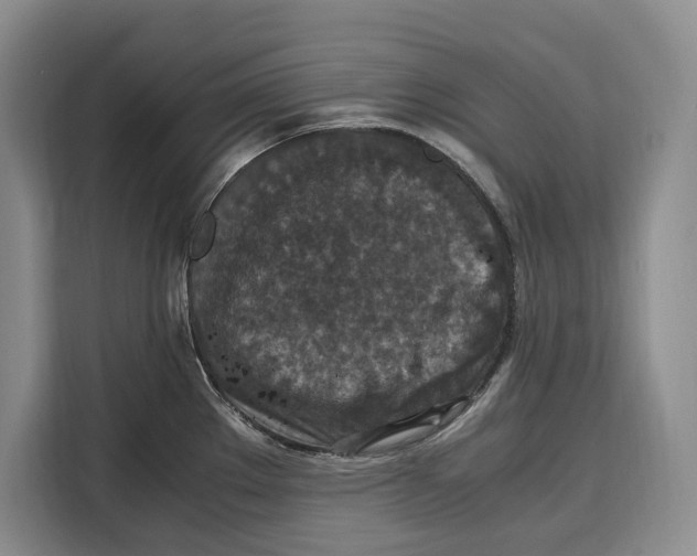 X0000115121289200911241340