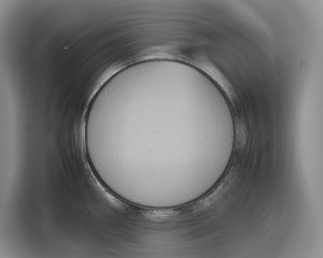 X0000115121290200911241340