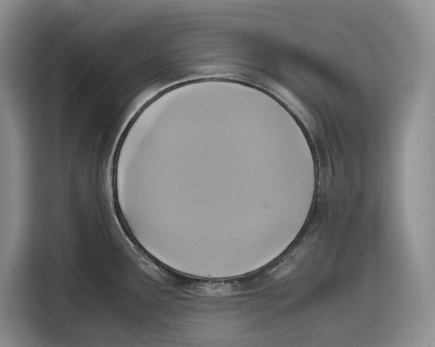 X0000115121291200911241340