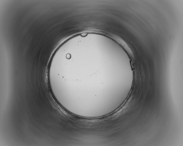 X0000115121292200911241340