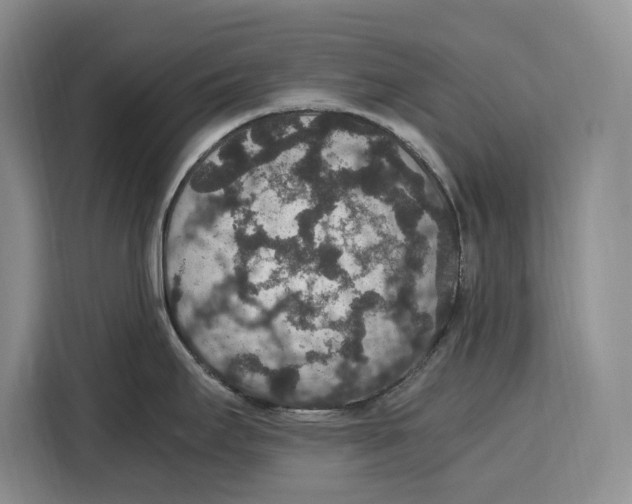 X0000115121295200911241340