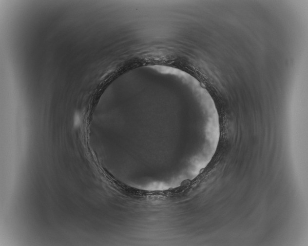 X0000115121297200911241339